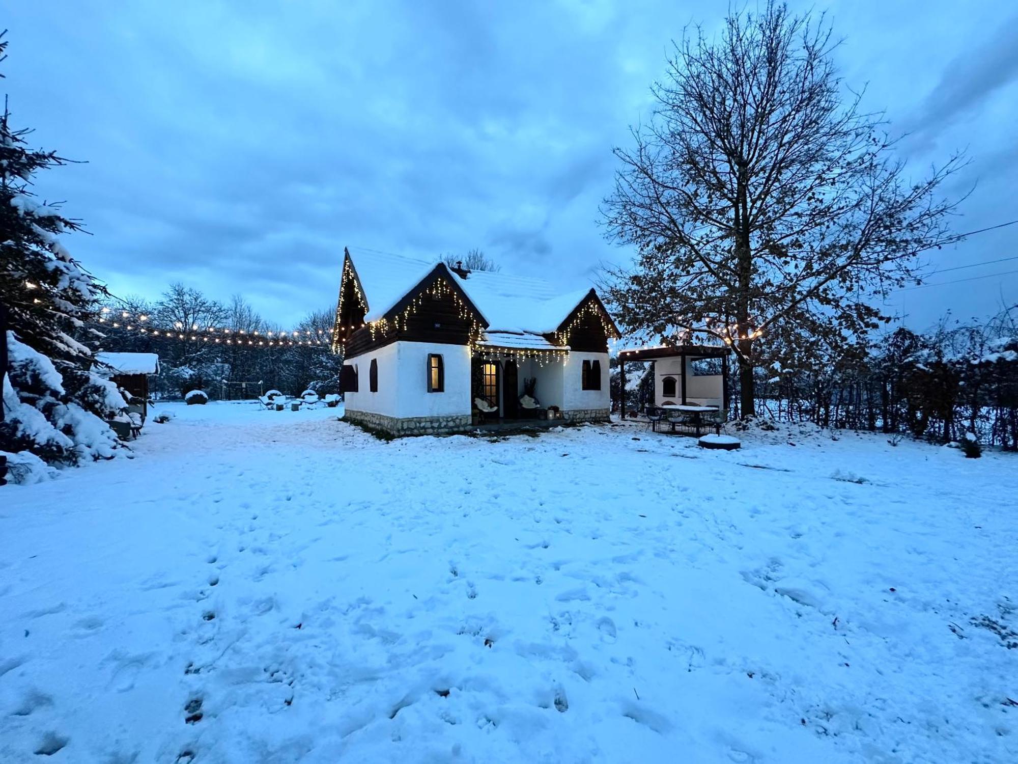 Cuib Din Fagaras Villa Avrig Exterior photo